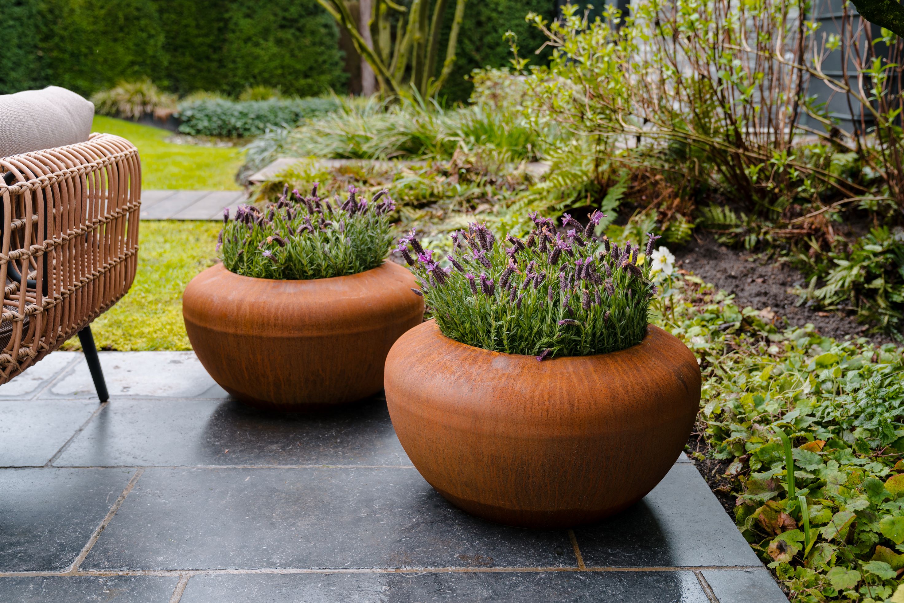 Association plantes sauvages et acier corten